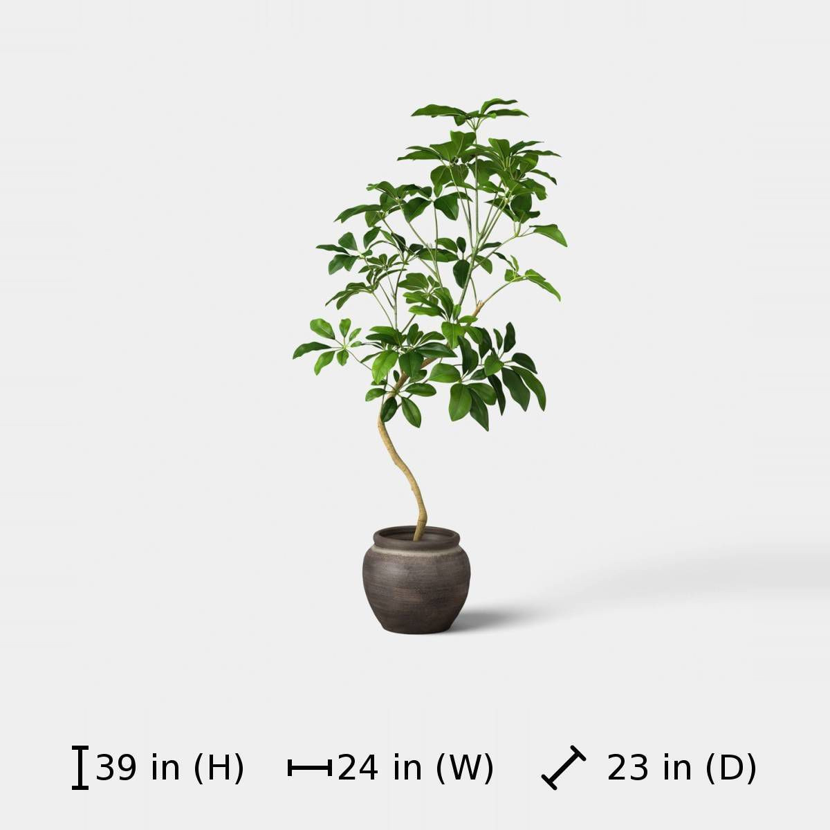 39" Spade Leaf Tree - Threshold\u2122 | Target