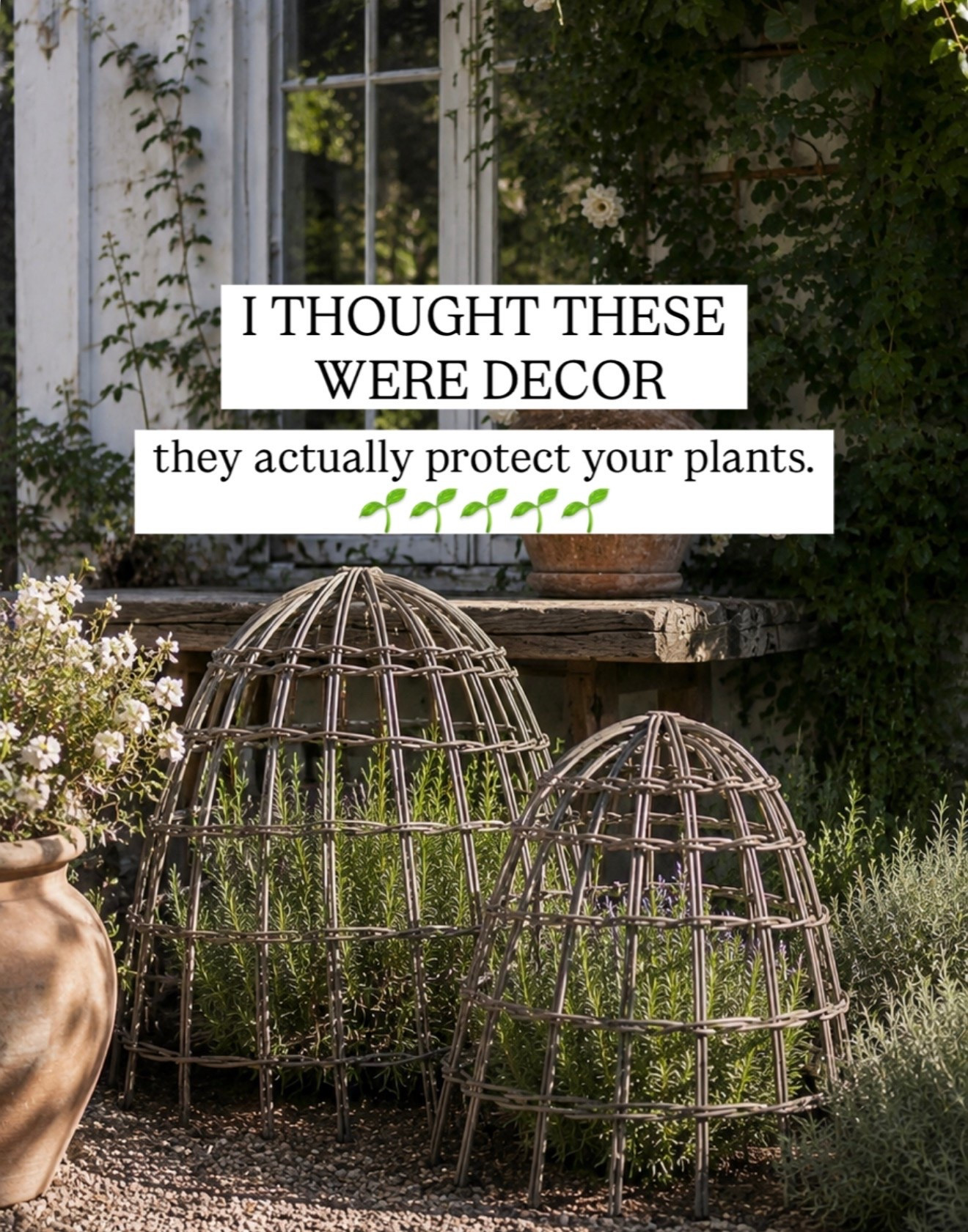 These are so fun they’ll keep away past, but they’re decorative. These would look great in your garden. Also add texture and dimension and something different Wayfair patio.

#LTKHome #LTKSaleAlert