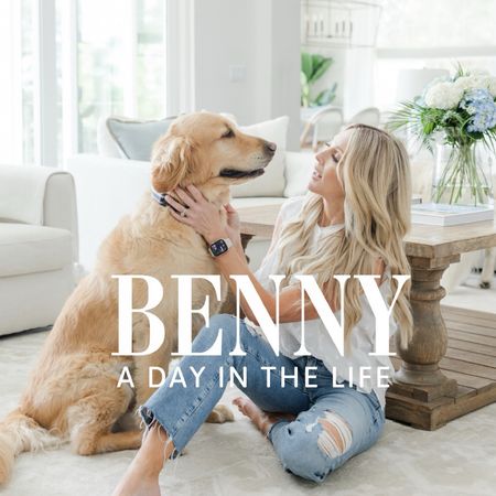 A few of Benny’s favorite pet products from Walmart! Take a long walk in the pet stroller , save a pup’s life in a shark vest or groom with ease with the pet vac! 

#LTKfamily #LTKhome #LTKfitness