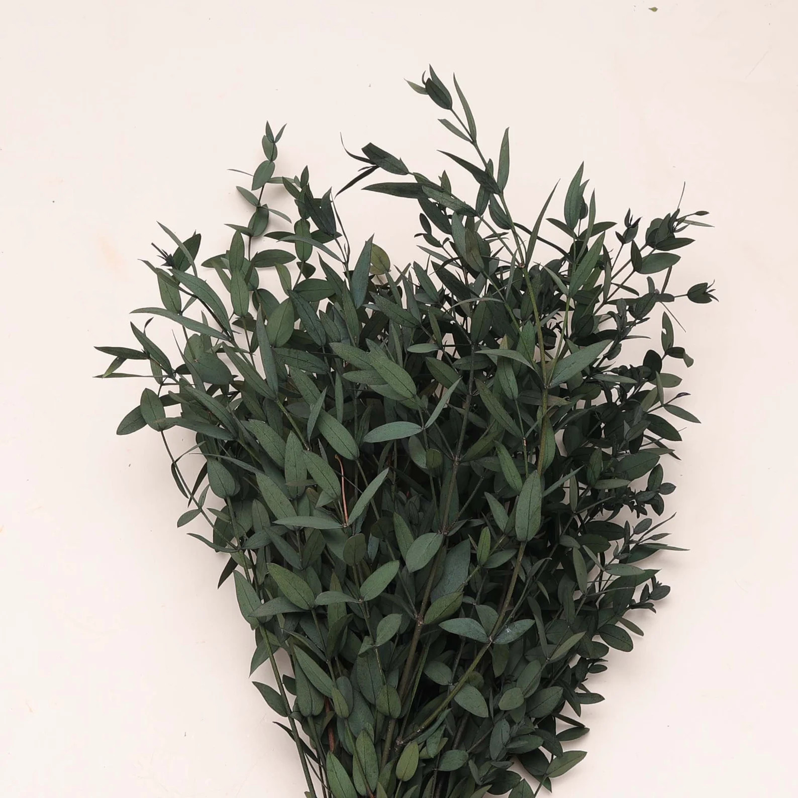 Preserved Green Eucalyptus Bunch: Parvafolia Bouquet Greenery | Etsy (US)