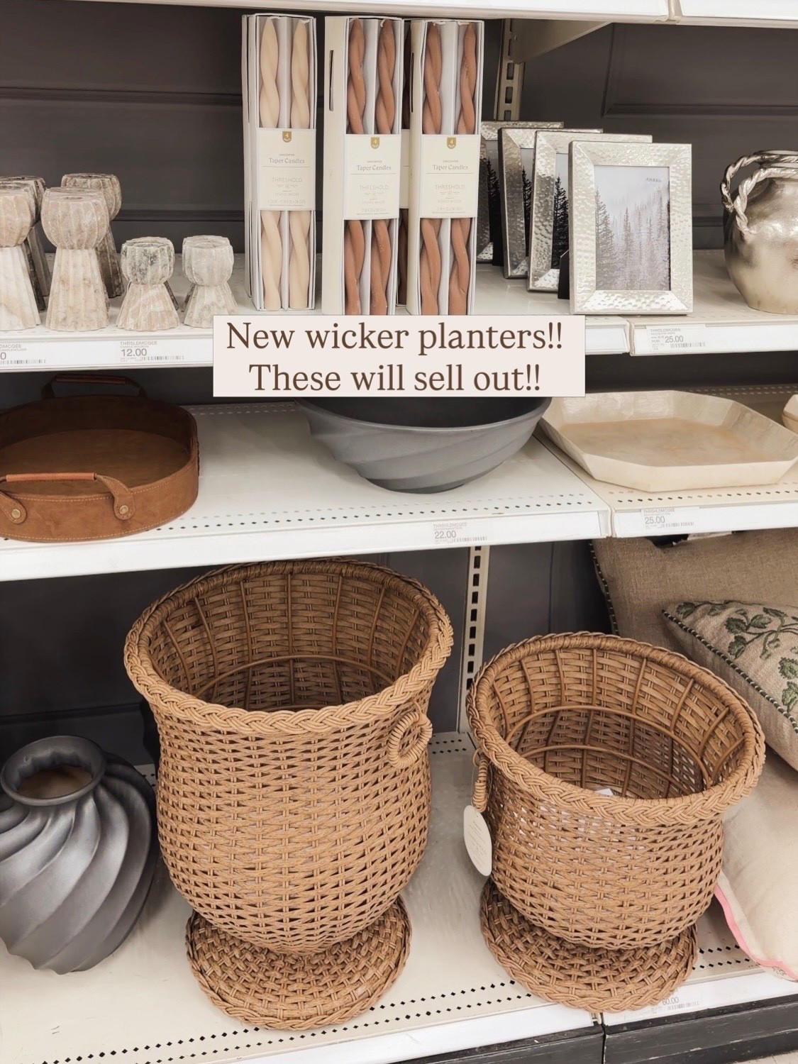 Target new by studio McGee wicker planters 