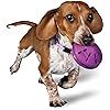 Starmark Treat Dispensing Bob-a-Lot Dog Toy | Amazon (US)