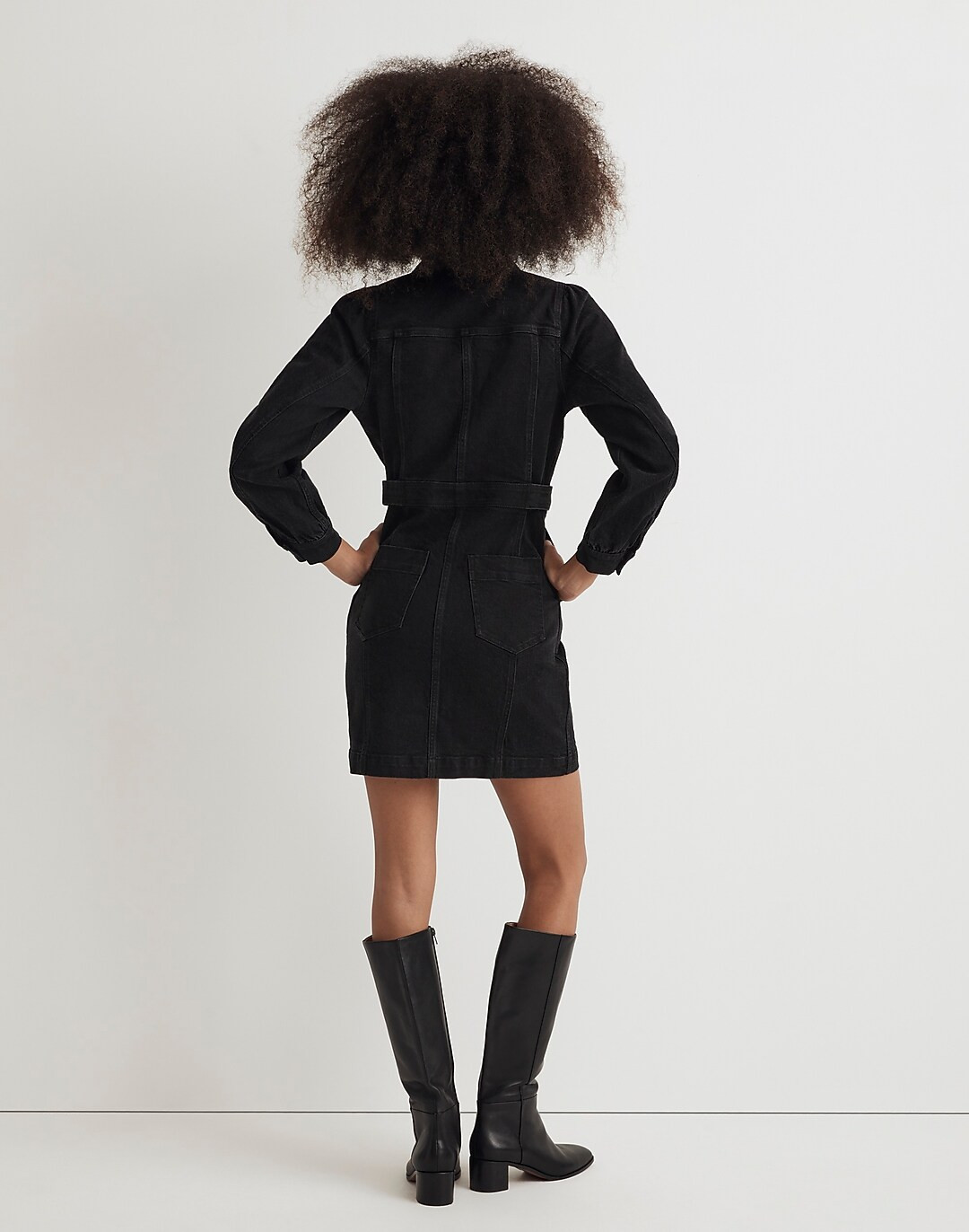 Denim Seamed Mini Dress in Lunar Wash | Madewell