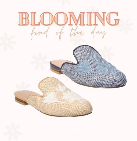 How cute are these embroidered mules!?!

Kohls THEBLOOMINGNEST shoes 

#LTKfindsunder50 #LTKshoecrush #LTKstyletip