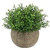 Ogrmar Mini Plastic Artificial Plants Grass in Pot/Small Artificial Faux Greenery/Mini Plants Topiar | Amazon (US)