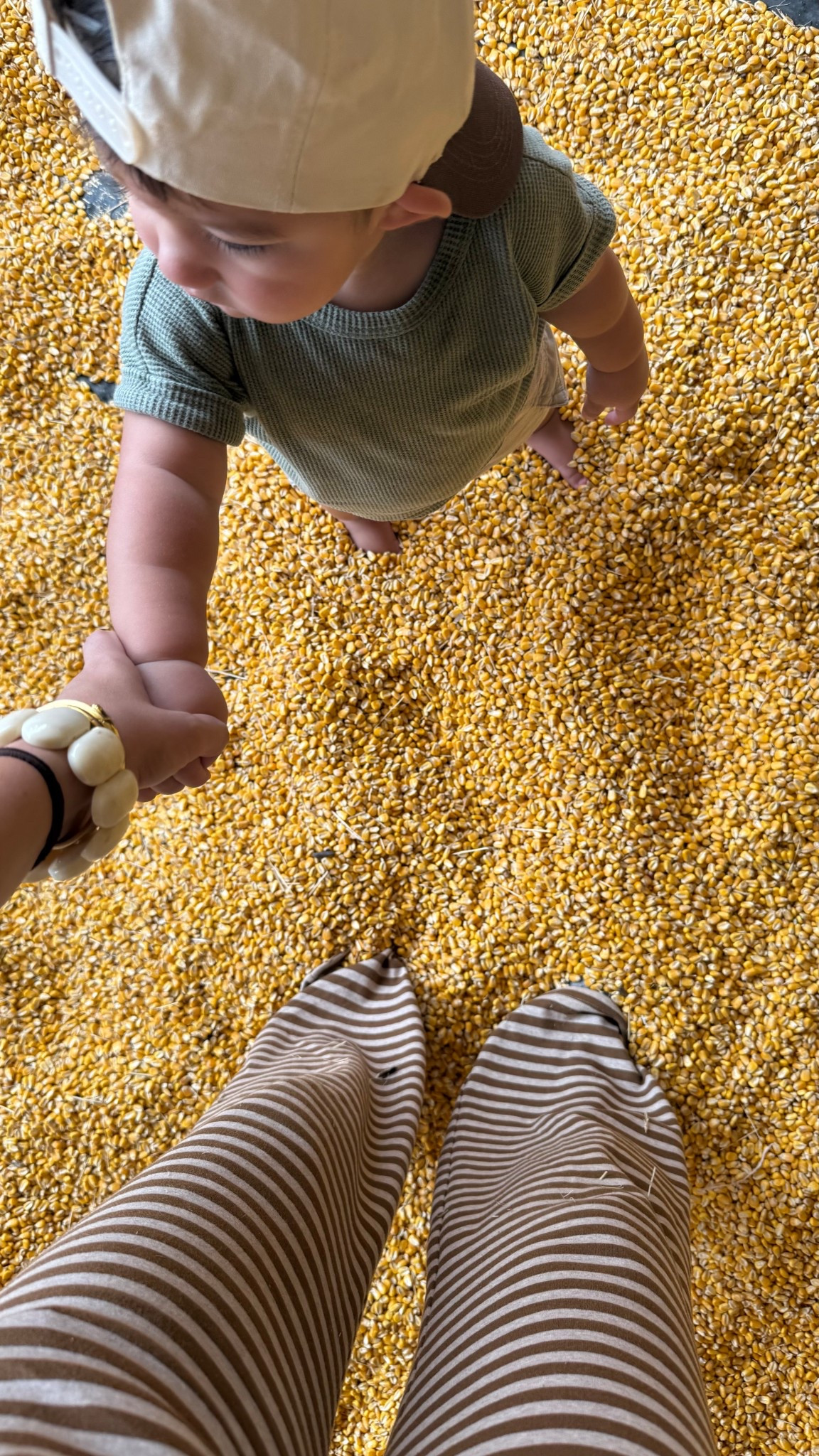 #LTKBaby #LTKKids #LTKSeasonal