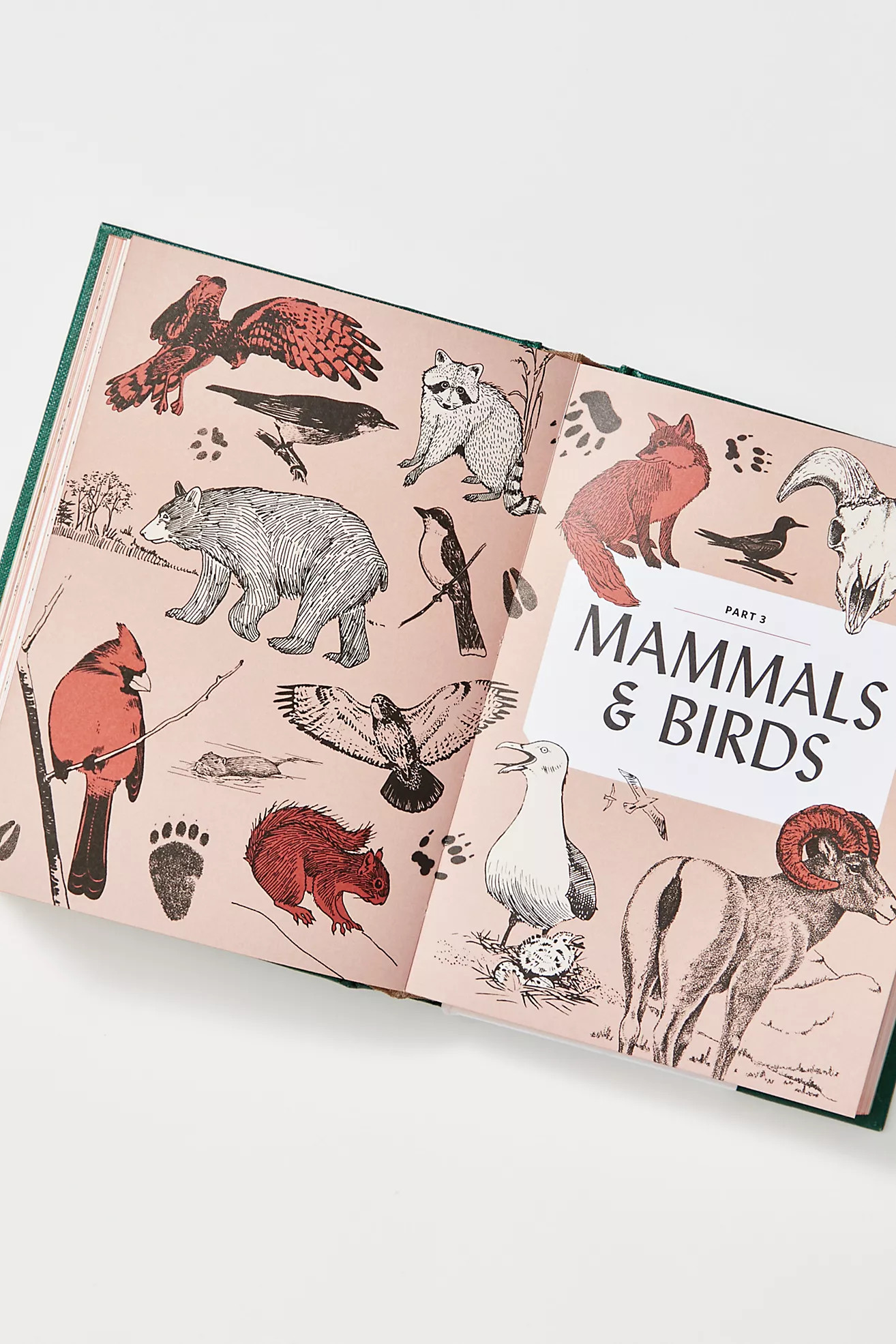 How To Read The Wildnerness | Free People (Global - UK&FR Excluded)