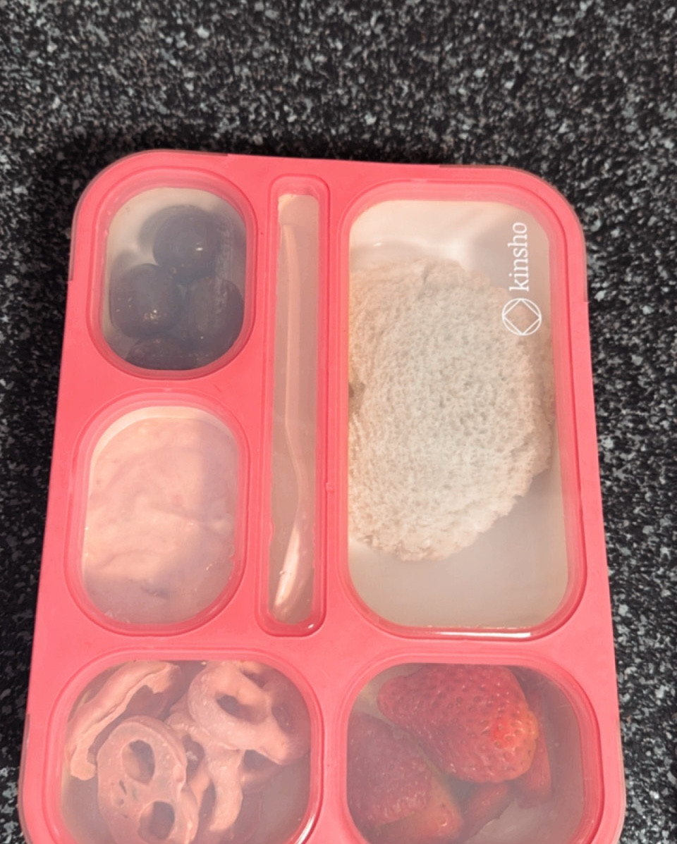 We love these bento style boxes for school lunches! Give a lot of space for variety but keeps everything separate!

#LTKFindsUnder50 #LTKKids #LTKMostLoved