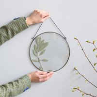 Framed Dried Herb, Wildflower Floating Frame, Green Pressed Plant, Stained Glass Art, Round Botanica | Etsy (US)