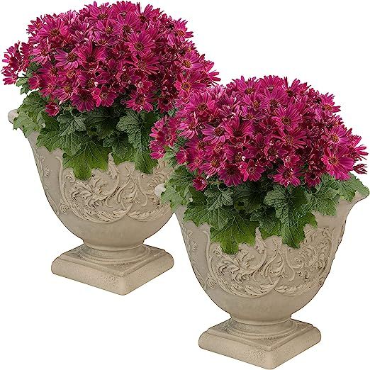 Sunnydaze Darcy Flower Pot Planter, Outdoor/Indoor Heavy-Duty Double-Walled Polyresin with Fade-R... | Amazon (US)