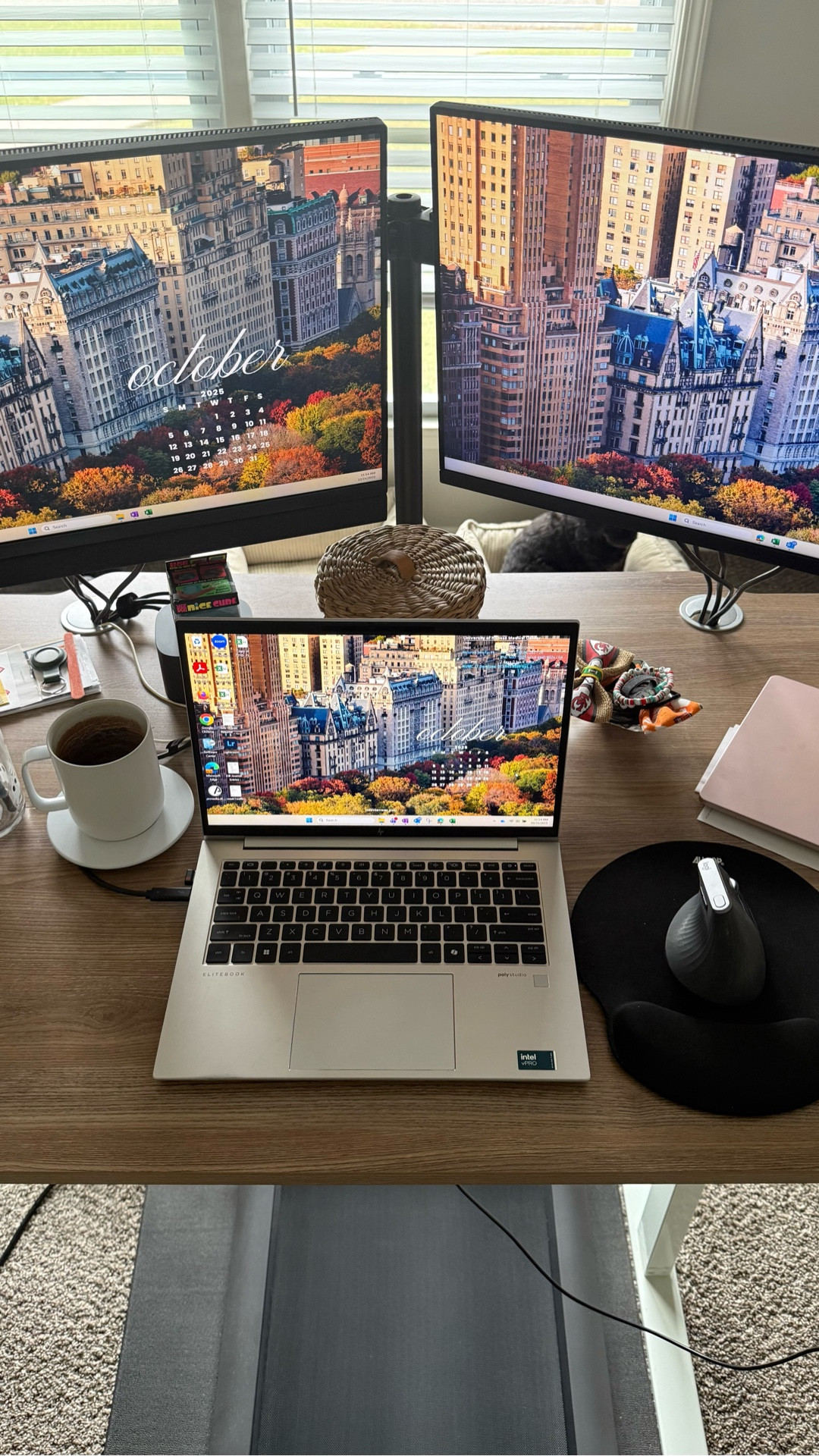 Sharing all the details about my walking pad! As someone who works from home, having a good desk setup is a must. I try to get in 5 miles per day as I work and this walking pad has been the best! I’ve linked it here as well as my standing desk, the mount I have for my monitors, and the mat I use for under my walking pad! 

WFH | Work from home | Standing Desk | Get Active | Work life balance

#LTKWorkwear #LTKHome #LTKActive