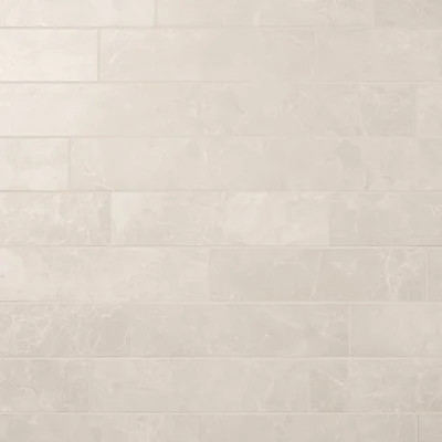 Palazzo 4" x 16" Semi-Polished Porcelain Wall & Floor Tile | Wayfair North America