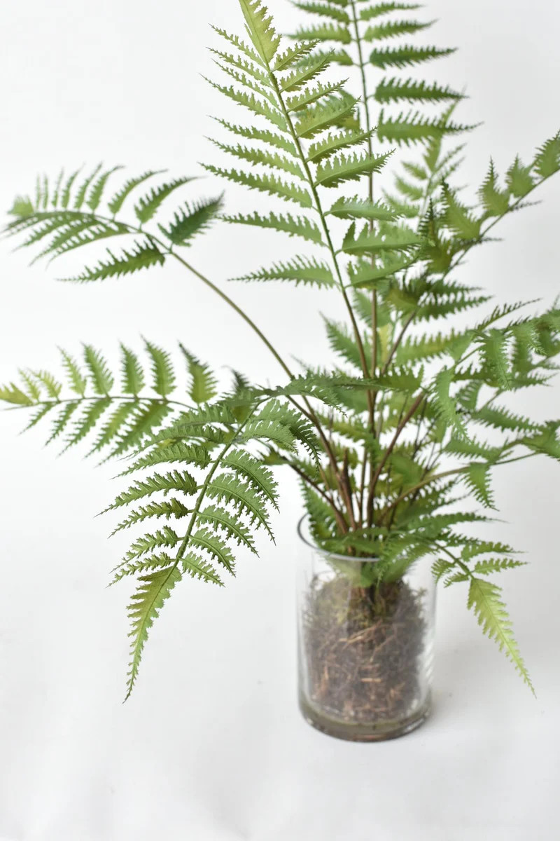 25" Faux Forest Fern in Glass Vase | Plow & Hearth