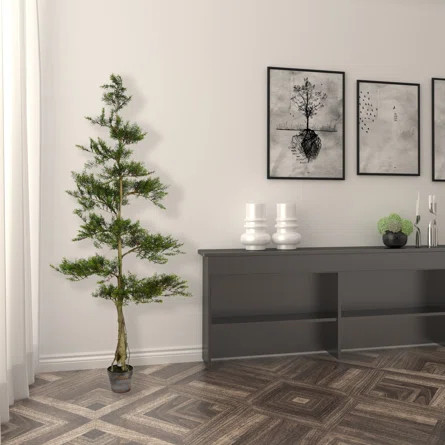 Bay Isle Home Artificial Potted Cedar Tree. | Wayfair | Wayfair Professional