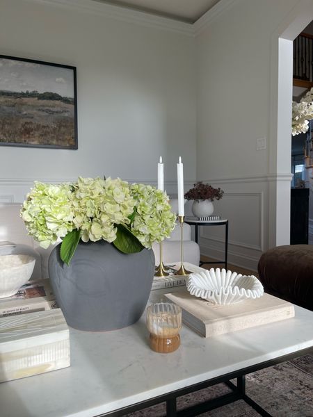 Morning coffee views! I love these hydrangeas, they look so realistic. And my coffee table is two smaller coffee tables pushed together.

Coffee, ripple glasses, hydrangea, coffee table styling, home decor, home, vase, ruffle bowl, flameless candles, candle holder, 

#LTKsalealert #LTKFind #LTKhome