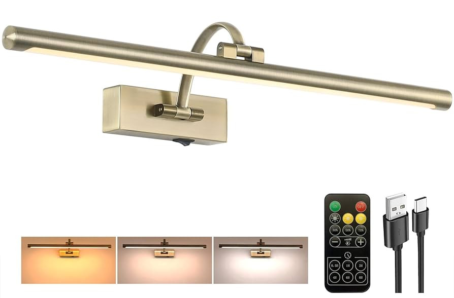 Antique Bronze Picture Light, 23.6 Inch Remote Control Painting Lights for Wall Cordless, 3CCT Di... | Amazon (US)
