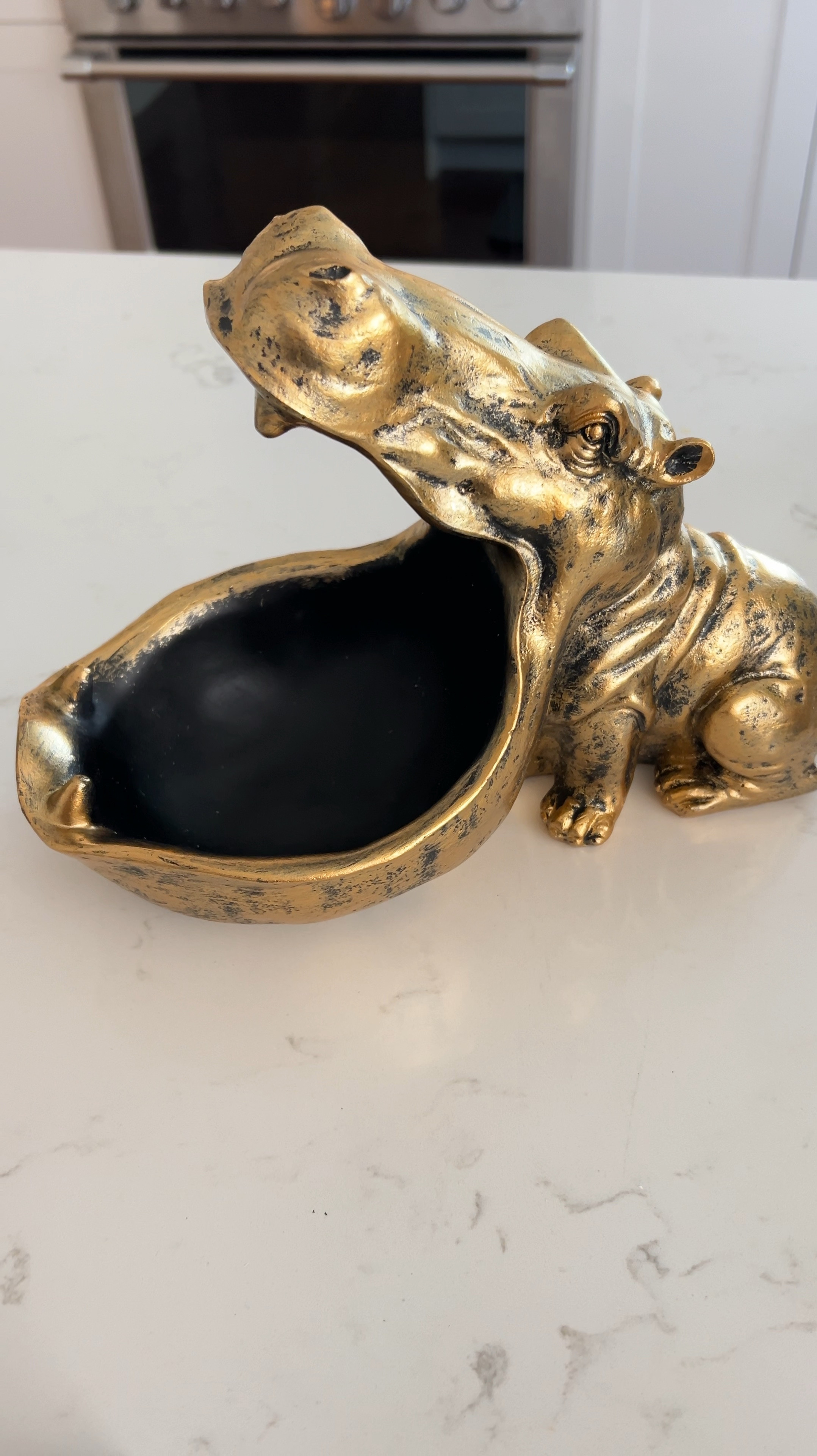 Harrison the House Hippo 

#LTKHome #LTKFindsUnder50 #LTKStyleTip