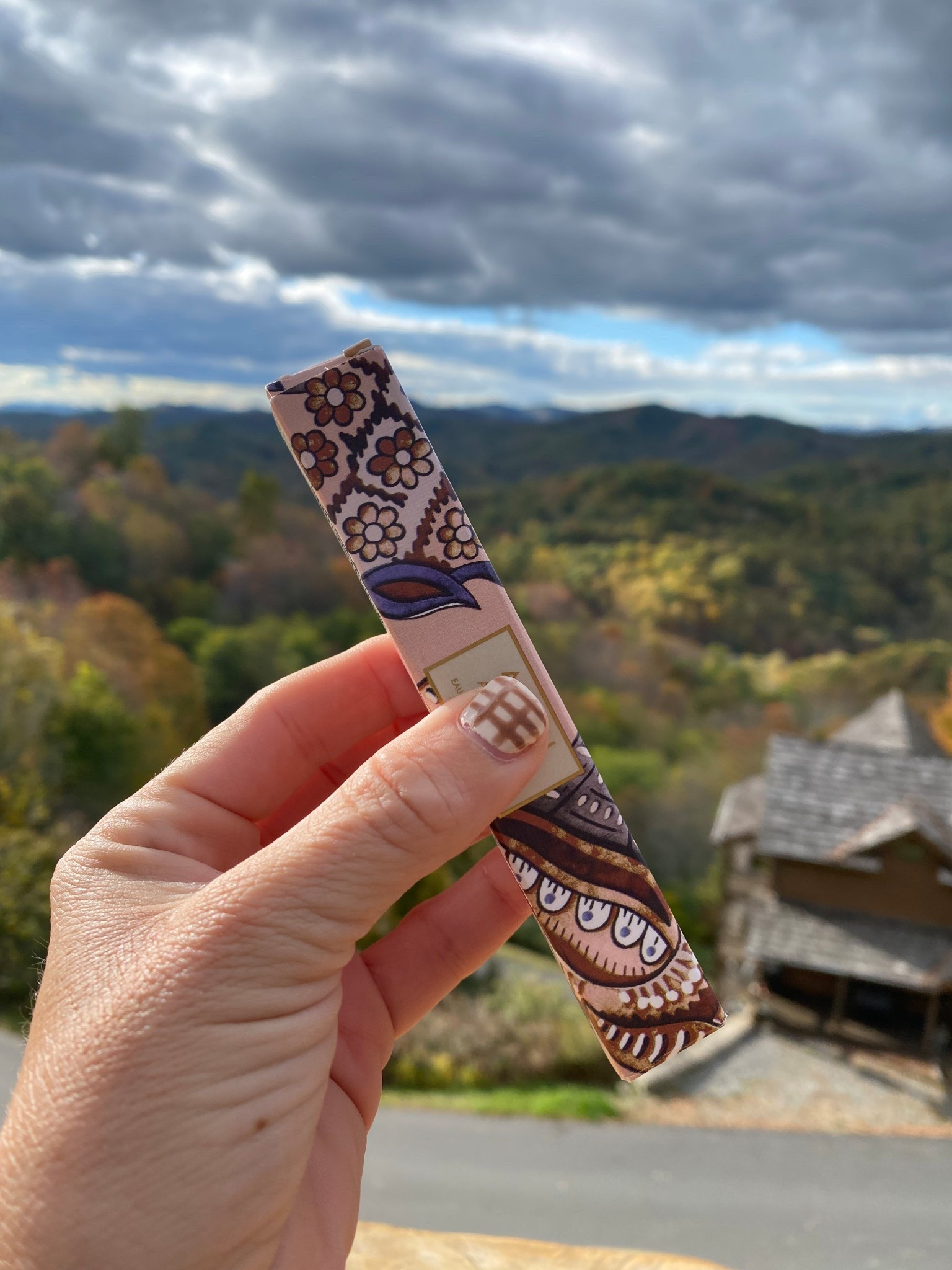 Fall scents, fall perfume, travel essentials, fall travel must haves, mountain getaway, what’s in my purse, gift ideas

#LTKTravel #LTKSeasonal #LTKBeauty