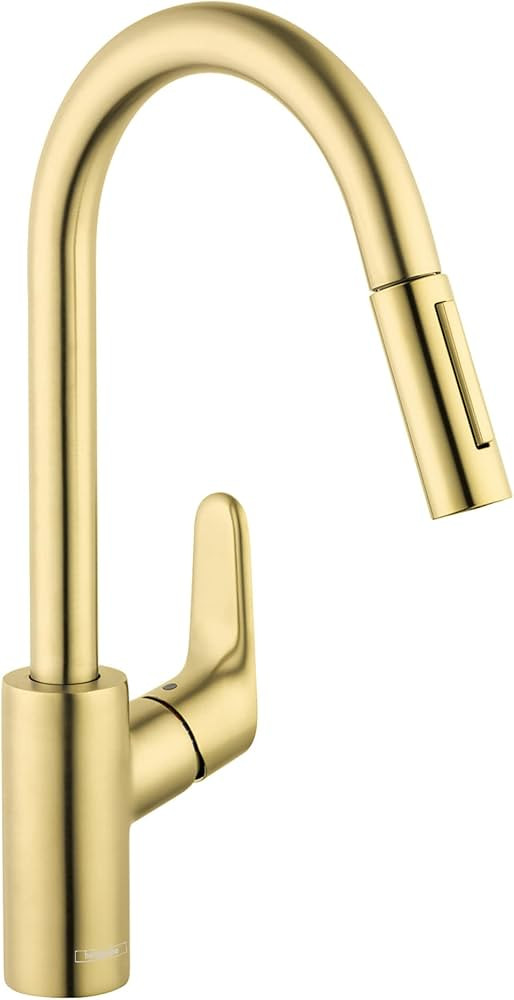hansgrohe Focus Gold High Arc Kitchen Faucet, Kitchen Faucets with Pull Down Sprayer, Faucet for ... | Amazon (US)