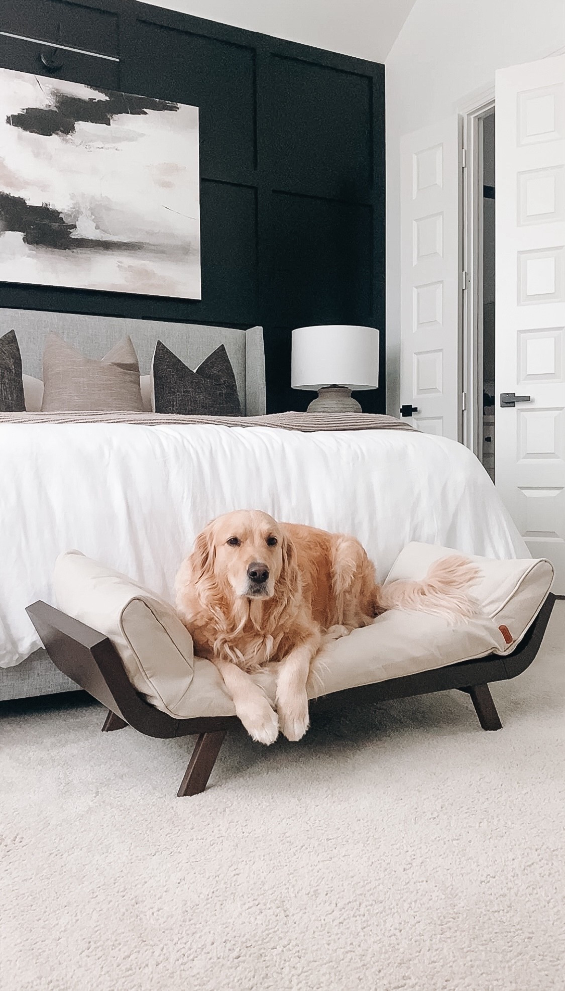 Pet furniture: shoprooof.com 
Maximillian/ Large / Dark Walnut 