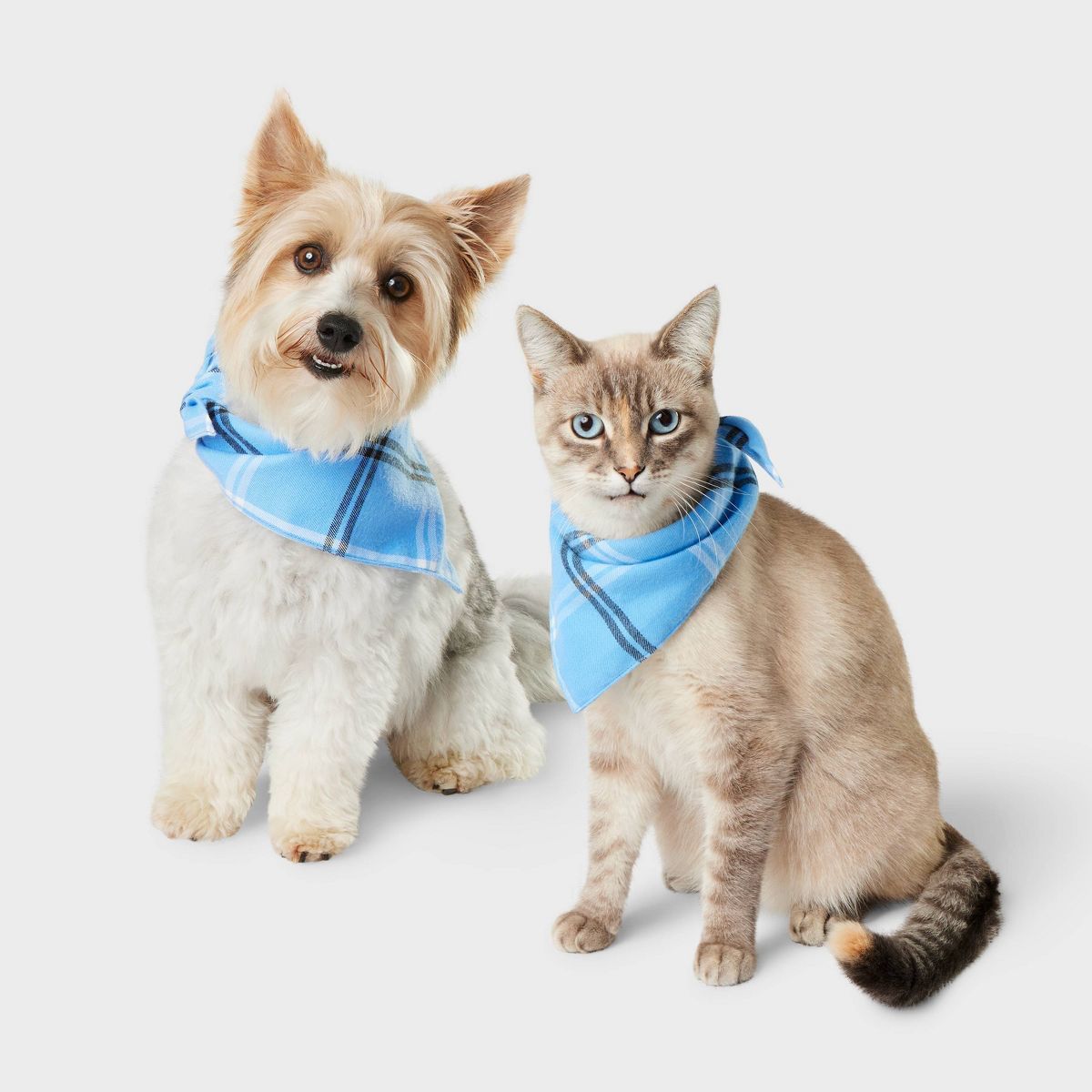 Plaid Matching Family Cat and Dog Bandana - Wondershop™ - One Size Fits Most | Target