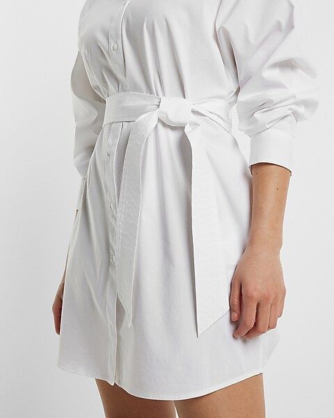 Boyfriend Poplin Portofino Shirt Dress | Express