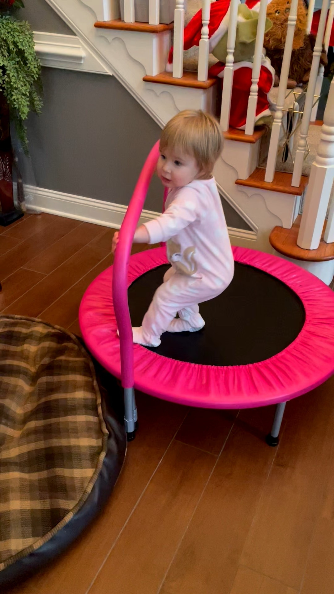 Perfect way to let your toddlers burn off some energy 

#LTKHome #LTKBaby #LTKKids