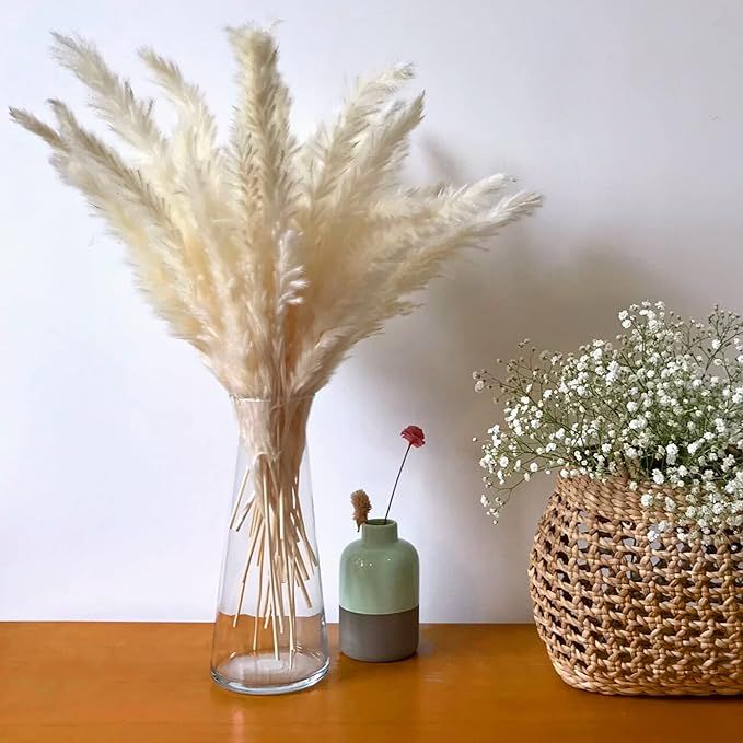 Natural White Pampas Grass, 30 Pieces - 17" , Pampas Grass Bouquet for Weddings, Boho Decor, Gift... | Amazon (US)