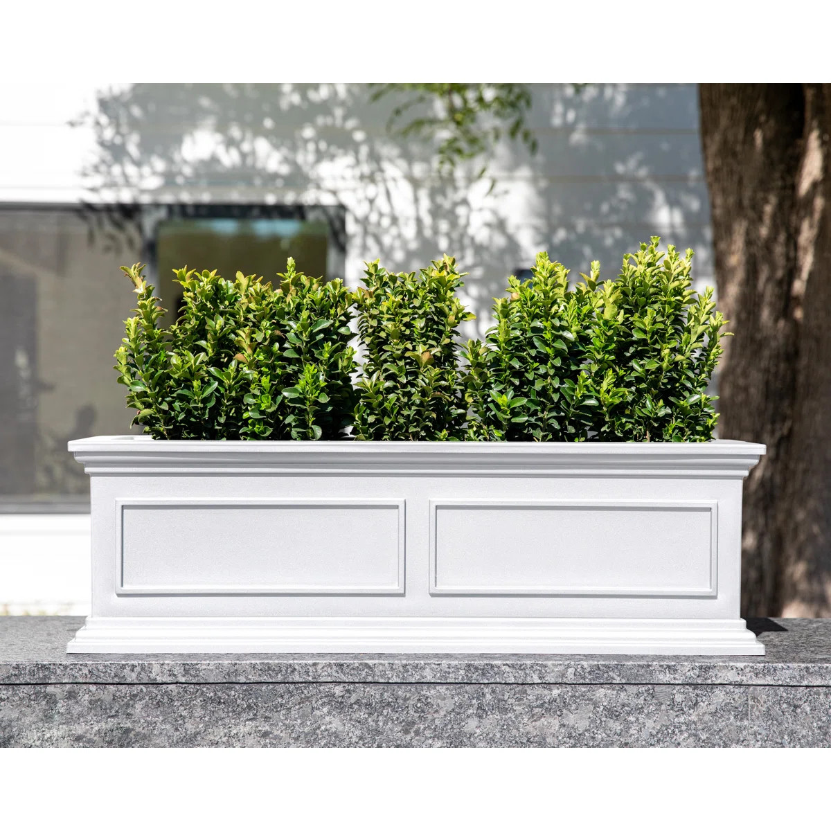 Abram 36" W Double Walled Window Box Planter with Drainage Holes | Wayfair North America