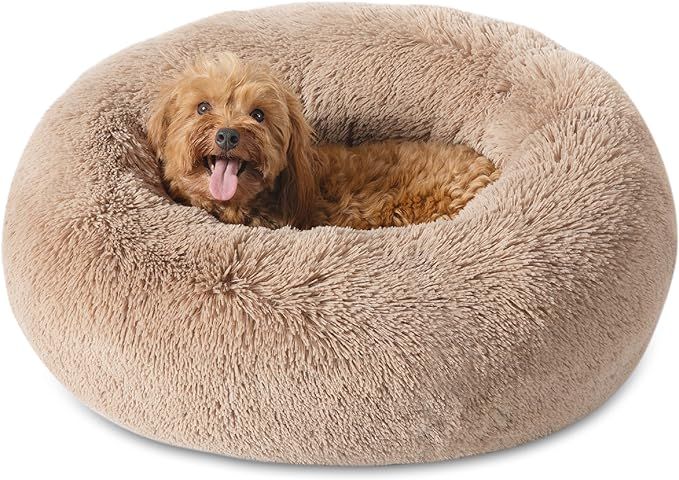 Bedsure Calming Dog Bed for Small Dogs - Donut Washable Small Pet Bed, 23 inches Anti-Slip Round ... | Amazon (US)