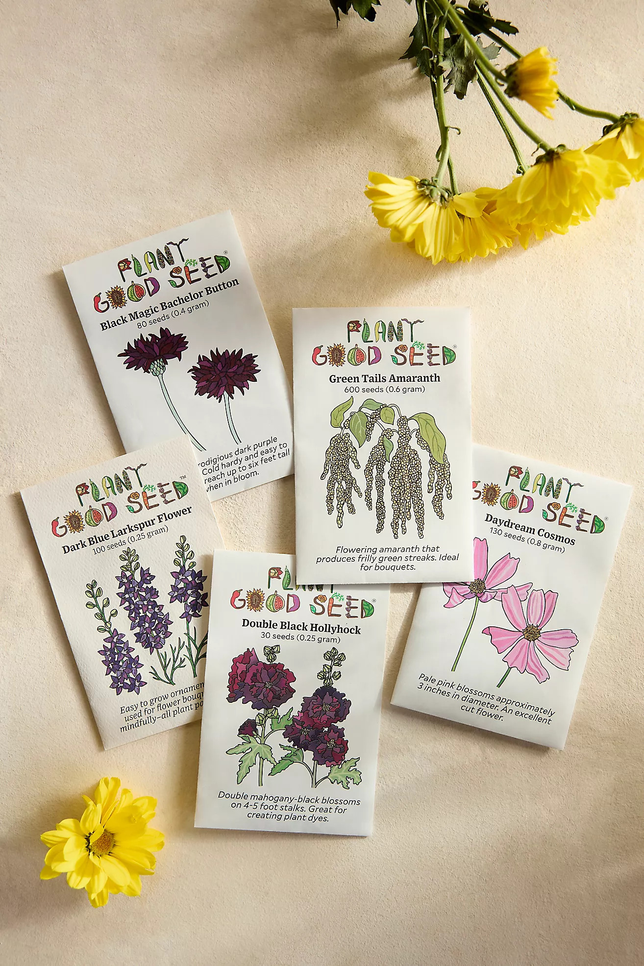 Cut Flower Garden Seeds, Set of 5 | Anthropologie (US)