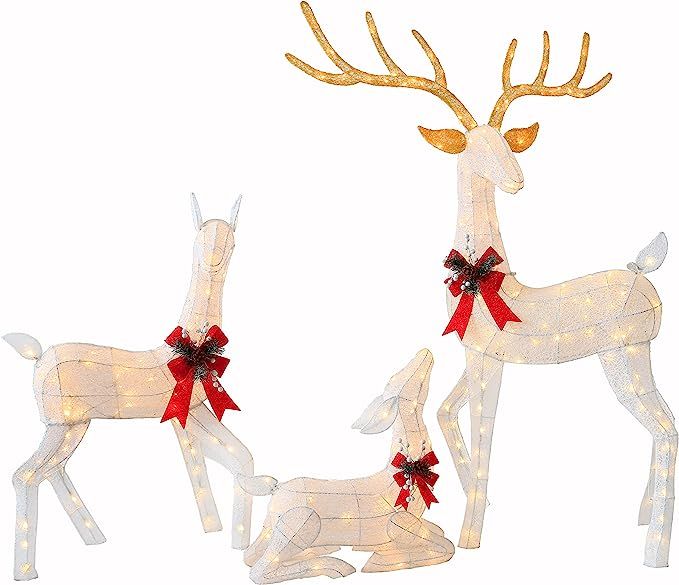 Hykolity 3-Piece Lighted Christmas Deer Family Set with 270 Warm White LED Lights, Outdoor Christ... | Amazon (US)