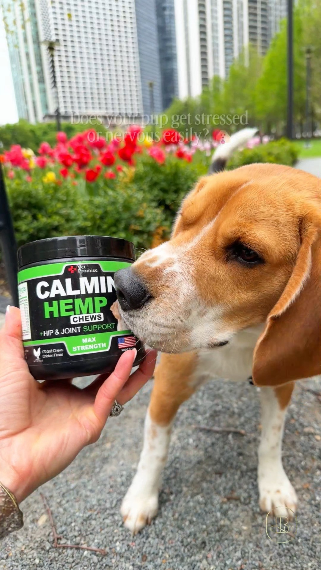 Help your anxious pup stay calm, relaxed, and comfortable during loud thunderstorms, fireworks, and solo hours at home! ⚡️ Formulated by veterinarians with organic hemp oil, valerian root, and chamomile, these soft chews soothe nervous tension without making your dog overly drowsy. Ideal to get for thunder-phobic dogs, separation anxiety training, car rides, and vet visits. When you need a natural, grain-free calming supplement that eases stress while supporting joint mobility, these tasty hemp treats are great to buy for anxious pet routines 🐶 

#LTKpets #LTKunder50 #VetPromise #CalmingChews #DogAnxiety #DogMomLife #PetCare
 #LTKHome