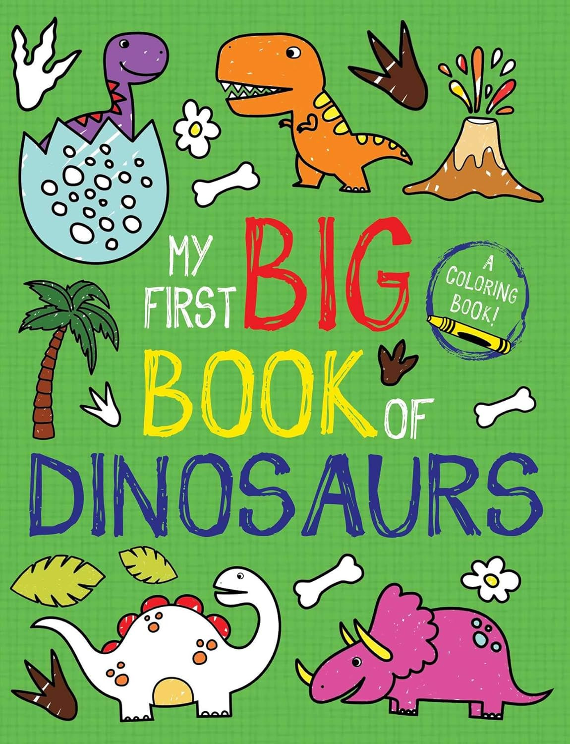 My First Big Book of Dinosaurs (My First Big Book of Coloring)      Paperback – Coloring Book, ... | Amazon (US)