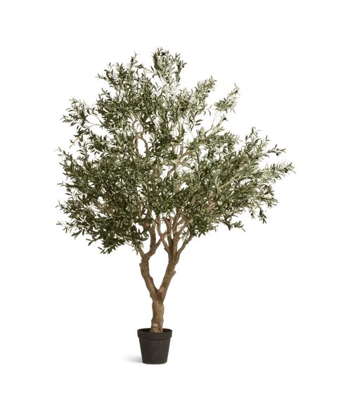 Faux Potted Olive Tree, Extra Large – Black | OKA US