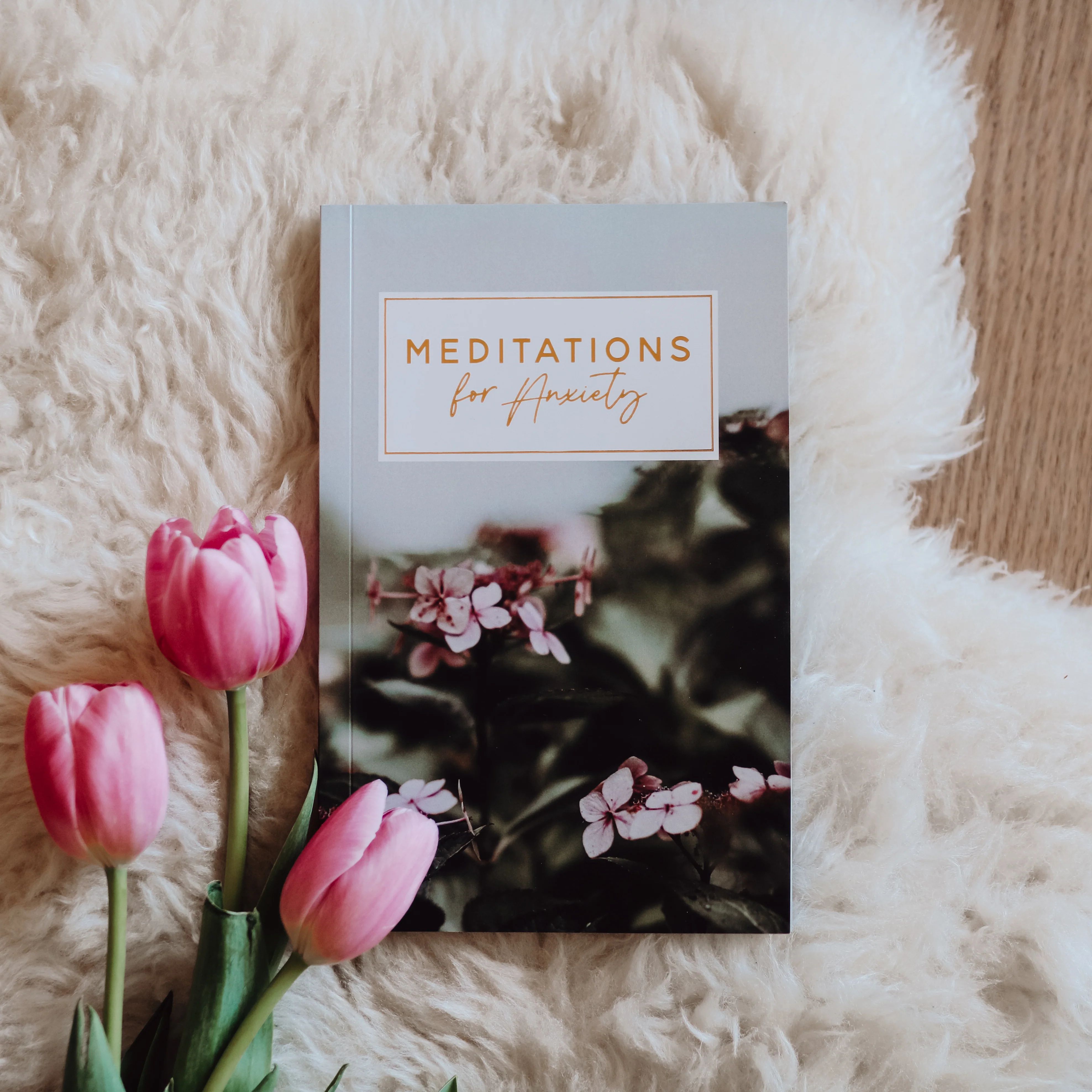 Meditations for Anxiety | The Daily Grace Co.