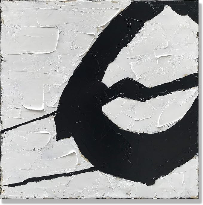 zoinart Black and White Painting Hand-Painted Abstract Modern Oil Painting on Canvas Wall Art Min... | Amazon (US)