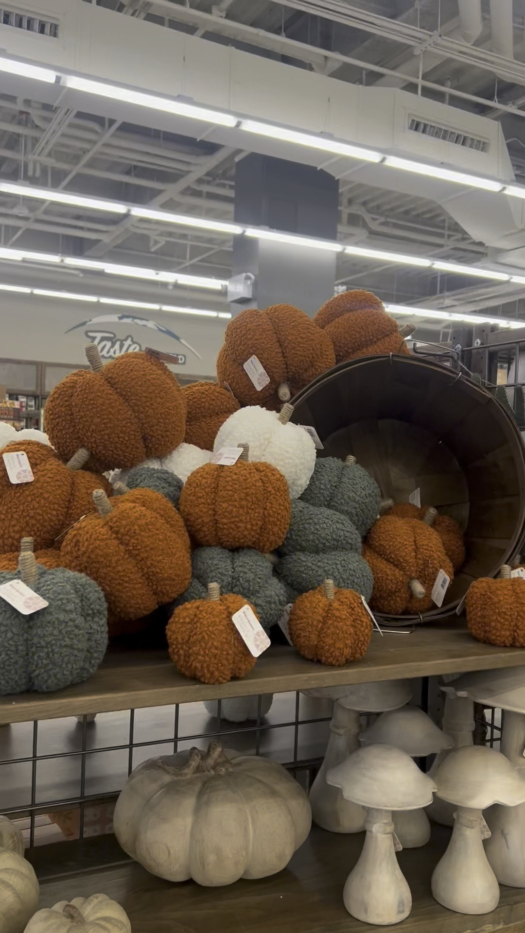 World Market fall finds 🍁🎃🕯️ 

#LTKHome #LTKSeasonal #LTKFallSale