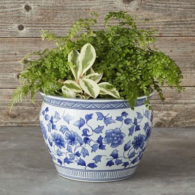 Blue & White Ceramic Planter, Large

$99.95 – $279.95 | Williams-Sonoma
