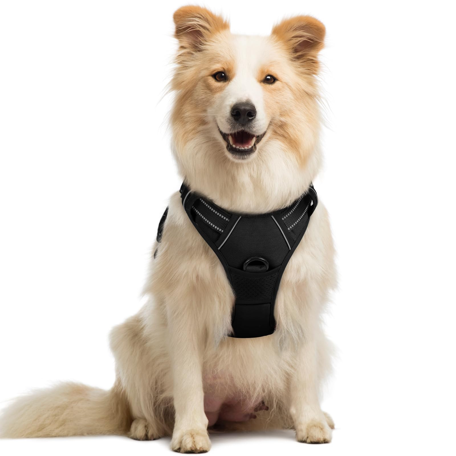 rabbitgoo Dog Harness No Pull with 2 Leash Clips, Adjustable Soft Padded, Reflective Oxford No Ch... | Amazon (US)