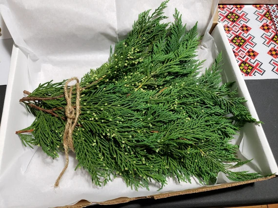 Organic Cypress branches Home decor Rustic Wedding | Etsy | Etsy (US)