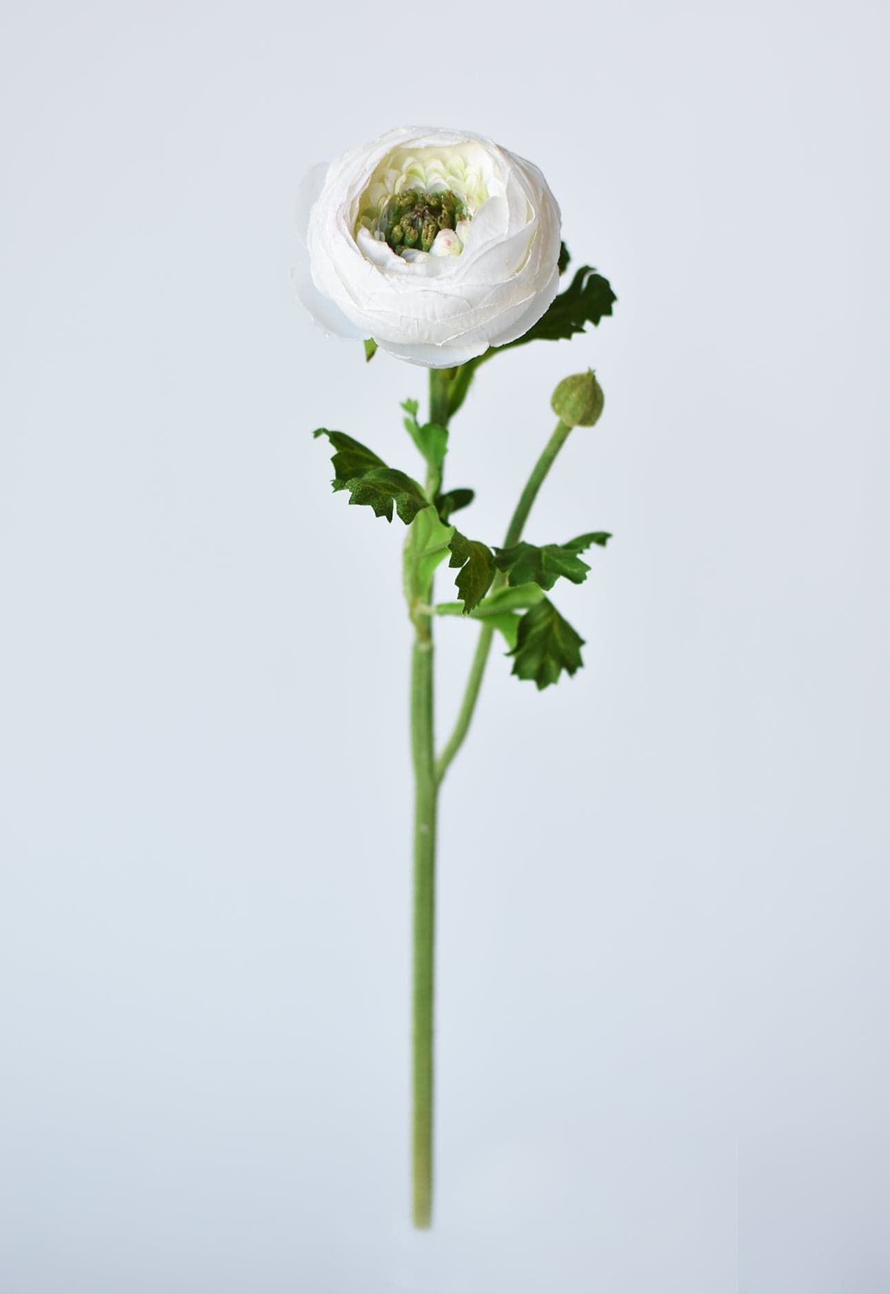 13" Faux White Ranunculus Stem | HouseFloral