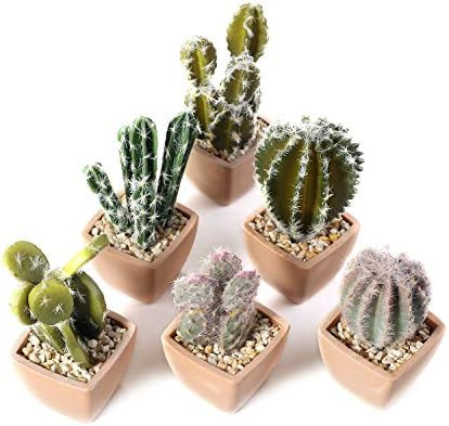 T4U Assorted Artificial Succulent Potted Plants Decorative Plastic Faux Cactus with Pots, Pack of... | Amazon (US)