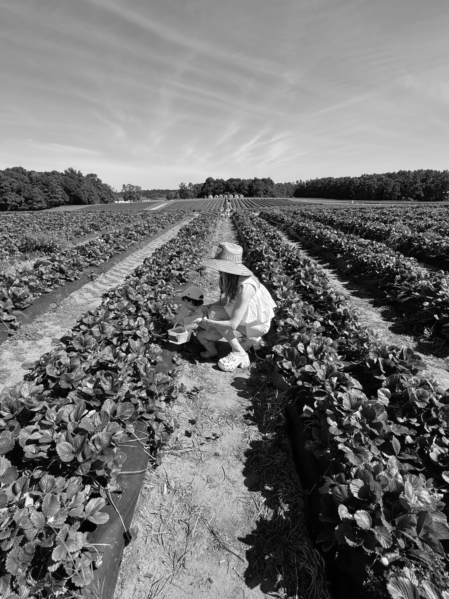 Perfect hat for strawberry picking! 