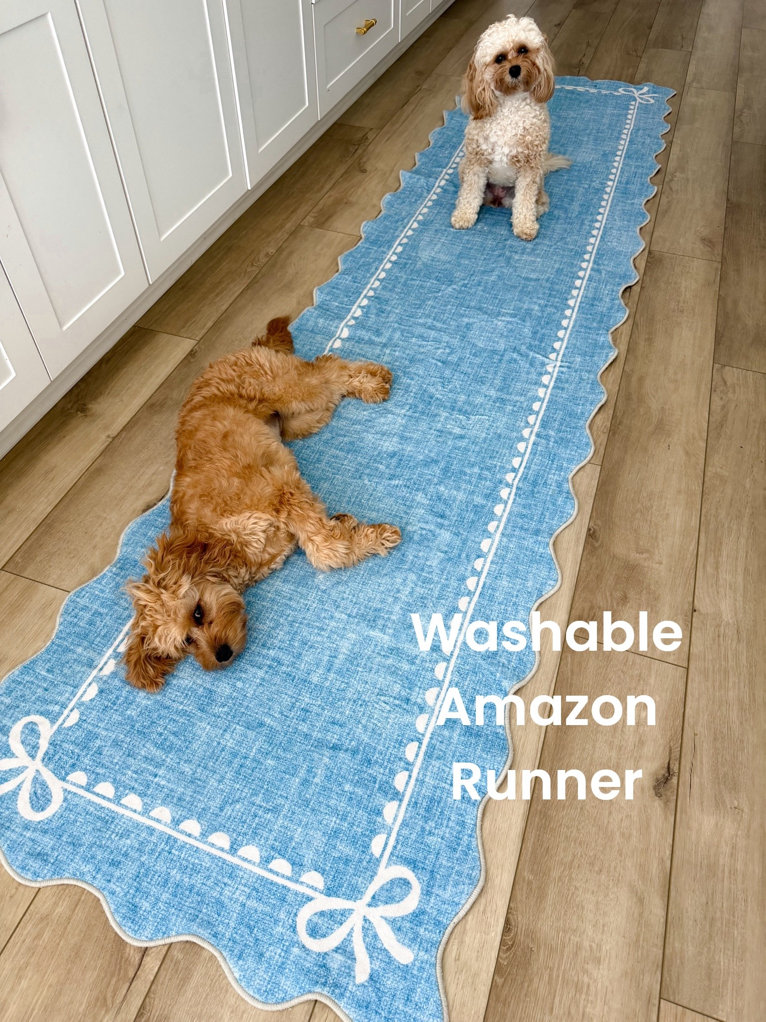 My dogs may have claimed this runner, but I’m still obsessed with it! 🩵🐾 This Amazon runner is one of my favorite home finds lately—so plush underfoot, machine washable, and it looks so much more expensive than its price tag. At around $50, it’s such a great way to add color, charm, and comfort to your kitchen, laundry room, hallway, or entryway.

I love the scalloped edges and bow detail, and it comes in several sizes and colors so you can find the perfect fit for your space. Bonus: it holds up beautifully to everyday life (and two playful pups 😉).

✨ Washable
✨ Super soft & plush
✨ Multiple sizes available
✨ Several color options
✨ Budget-friendly home decor find

If you’ve been looking for an affordable washable runner rug that’s both pretty and practical, this one is a must-have!

#AmazonHome #AmazonFinds #AmazonHomeFinds #WashableRug #RunnerRug #KitchenRunner #HomeDecorFinds #AffordableHomeDecor #BlueDecor #ScallopedDecor #BowDecor #HomeInspiration #KitchenDecor #LaundryRoomDecor #EntrywayDecor #HomeStyle #InteriorDecor #AmazonFavorites #HomeRefresh #BudgetFriendlyDecor

#LTKHome