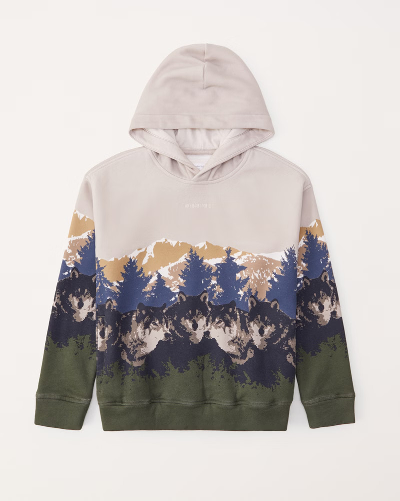 logo graphic popover hoodie | Abercrombie & Fitch (US)
