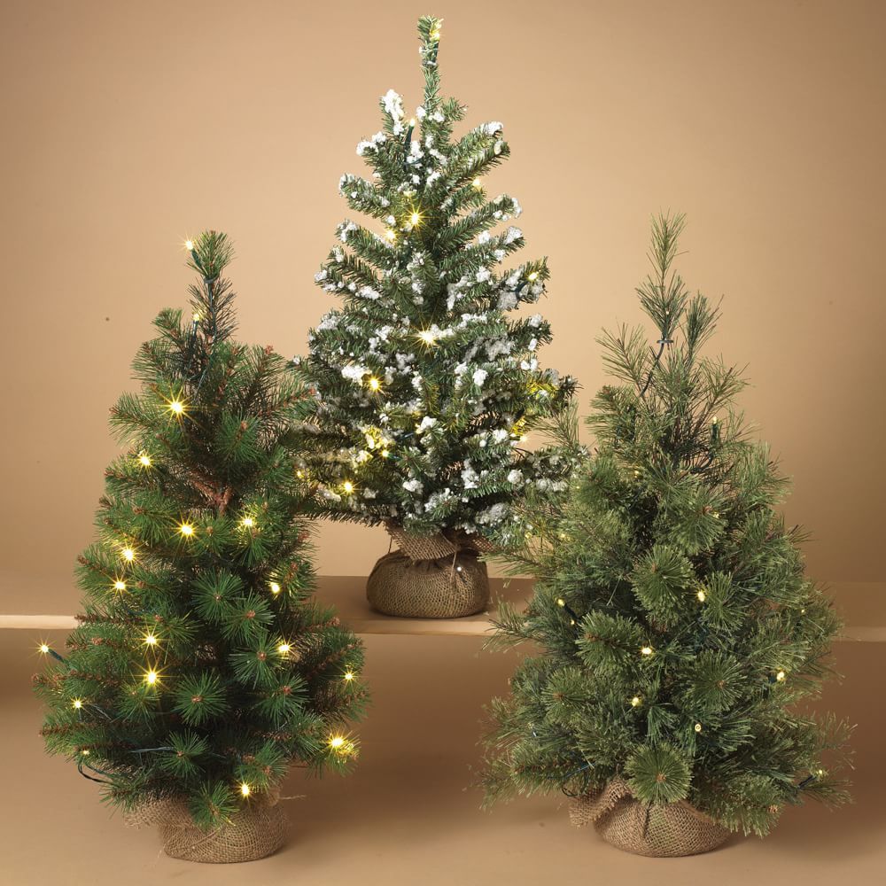 Faux Lit Miniature Trees, Set of 3 | Pottery Barn (US)