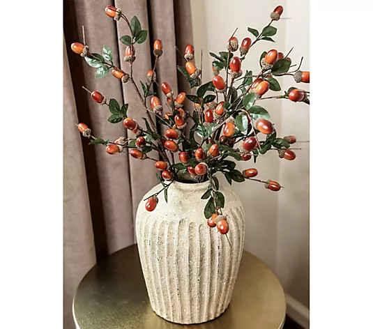 Simply Stunning Set of 3 Faux Acorn Picks by Janine Graff - QVC.com | QVC