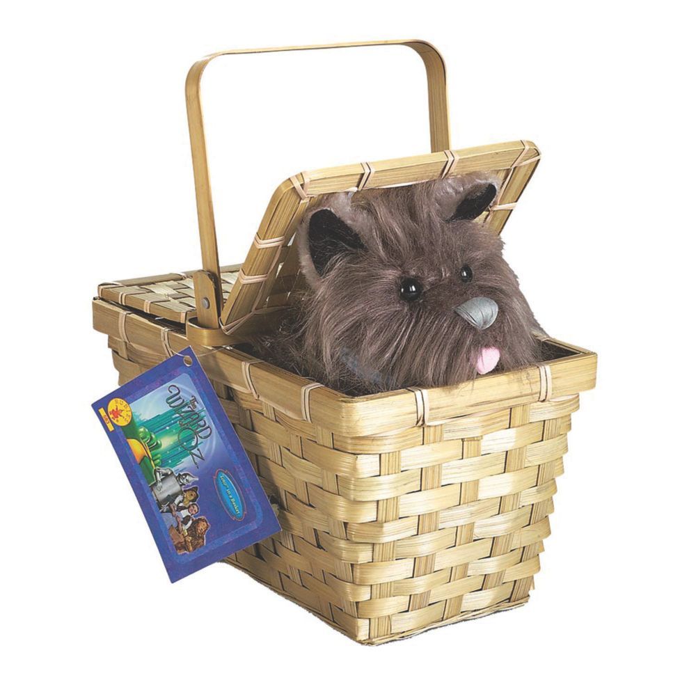 Deluxe Toto with Basket | Oriental Trading Company