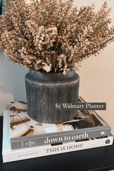 Styled the Walmart Better Homes and Garden $5 Planter 

Home decor, vase, planter 

#LTKsalealert #LTKhome #LTKSeasonal